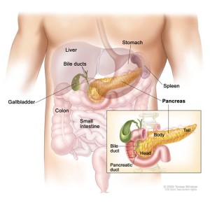 pancreatic cancer oral hygiene